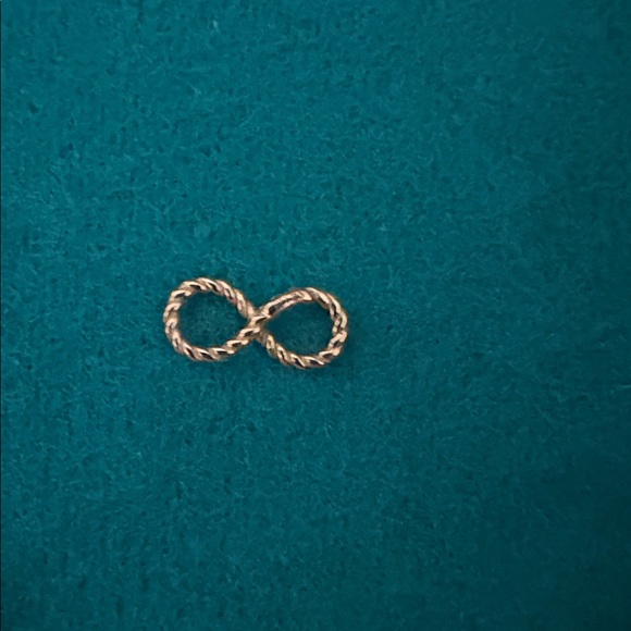 Catbird Love Knot 14k Gold Infinity Charm (From Amazon’s Summer I Turned Pretty) - Picture 6 of 14